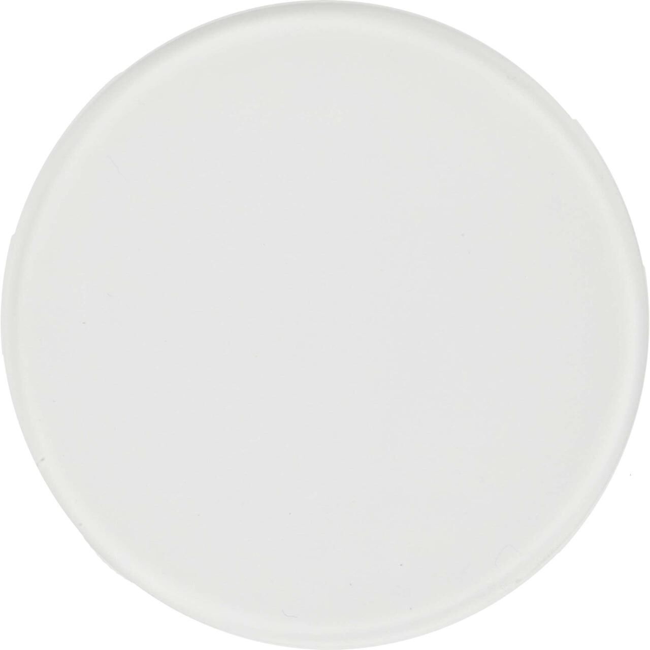 Profoto D1/B1 Buzlu Camı