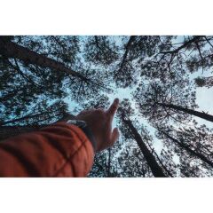 Samyang AF 12mm f/2.0 Lens (Fuji X)