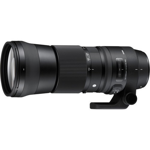 Sigma 150-600mm F5-6.3 DG OS HSM Contemporary Lens (Canon EF-M)