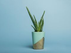 Superior Sky Blue 2.72 x 11 Metre Fon Kağıdı