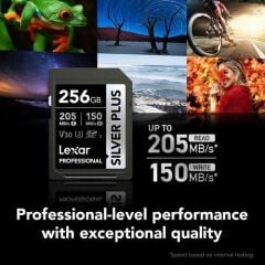 Lexar 256GB Professional Sılver Plus UHS-I SDXC V30 Hafıza Kartı