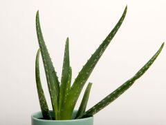 Superior Snow 1.35 x 11 Metre Fon Kağıdı (P111428)