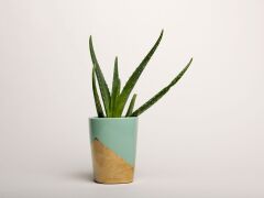 Superior Snow 1.35 x 11 Metre Fon Kağıdı (P111428)