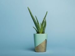 Superior Sky Blue 1.35 x 11 Metre Fon Kağıdı (P111402)