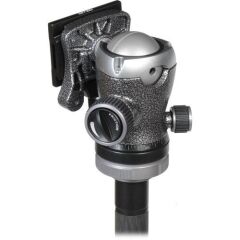 Gitzo GK2542-82QD Mountaineer Series 2 Carbon Fiber Tripod with Center Ball Head