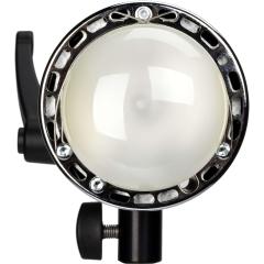 Profoto Acute / D4 Kafa 500W Zoom Reflektör İle