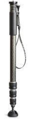 Gitzo GM2542 Series 2 Carbon Fiber Monopod