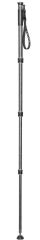 Gitzo GM2542 Series 2 Carbon Fiber Monopod