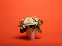 Superior Bright Orange 2.72 x 11 Metre Fon Kağıdı (P111439)