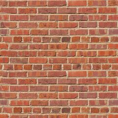 Savage (U.S.A) Stüdyo Fon Red Brick Printed