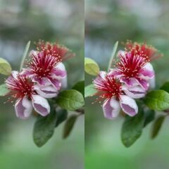 Hoya Variable Density II 82mm ND Filtre (1,5 ↔ 9 Stop)