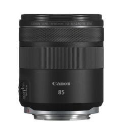 Canon RF 85mm F/2 Macro IS STM Lens
