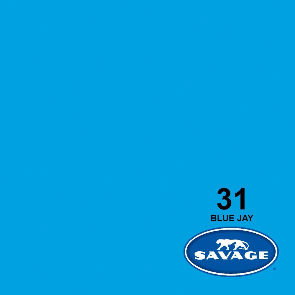 Savage (U.S.A) Stüdyo Kağıt Fon Blue Jay 271x1100 cm