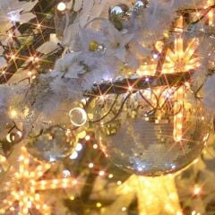 Hoya 77mm Star 6X Filtre