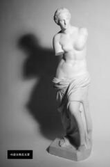 JINBEI 45° Long Focus Reflektör